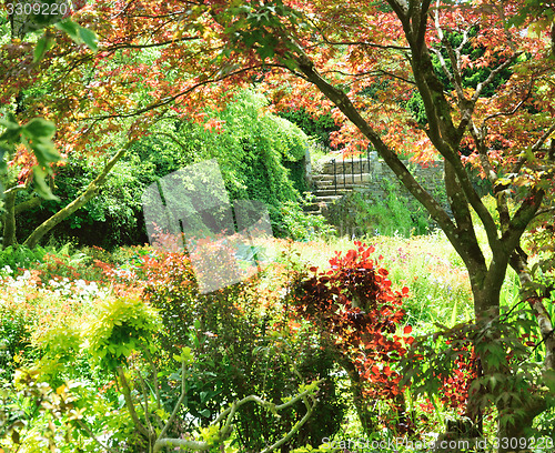 Image of Garden seen through the tree.