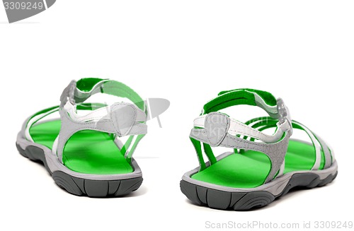 Image of Summer sandals. Back view.
