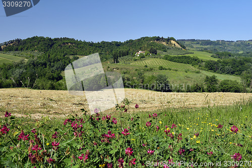 Image of Spring landscape. Tuscany, Italy