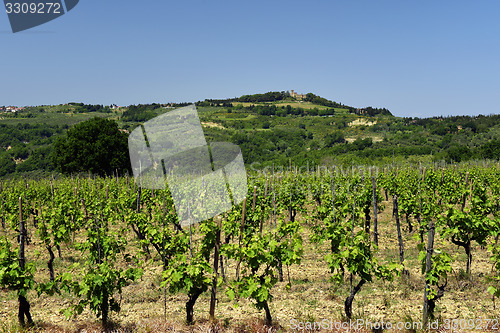 Image of Spring landscape. Tuscany, Italy