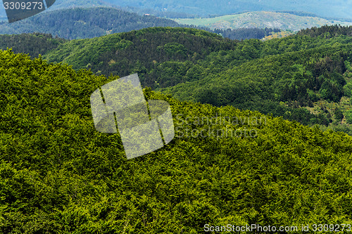 Image of Hilly landscape. Tuscany, Italy