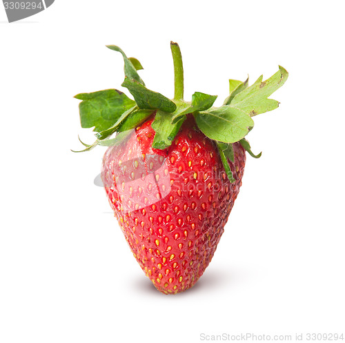 Image of Single ripe juicy strawberry