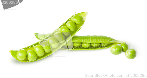 Image of Two young disclosed pod of green peas
