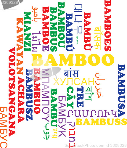 Image of Bamboo multilanguage wordcloud background concept