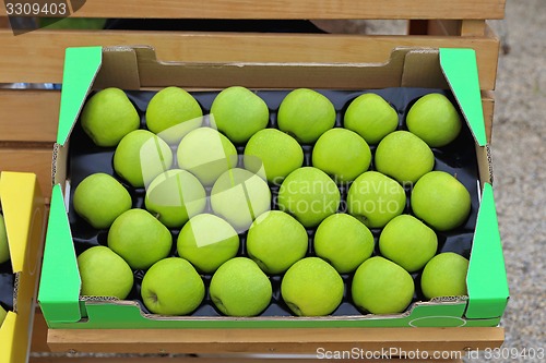 Image of Granny Smith