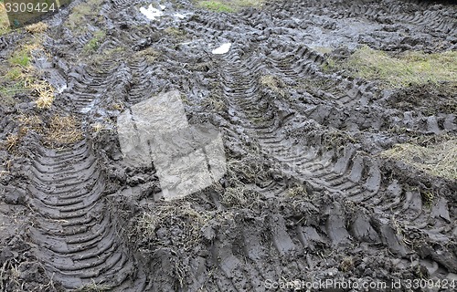 Image of Mud