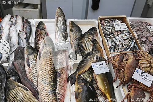 Image of Fish market