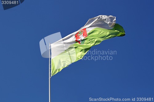 Image of Ljubljana flag