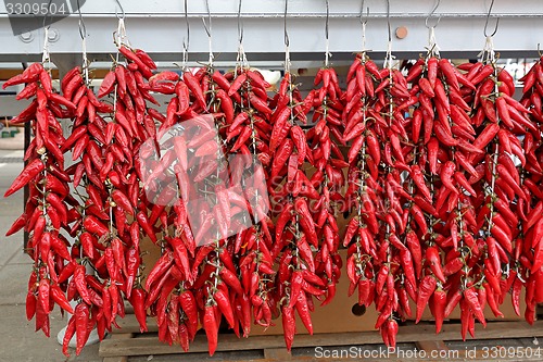 Image of Red Chili Peppers