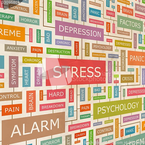 Image of STRESS