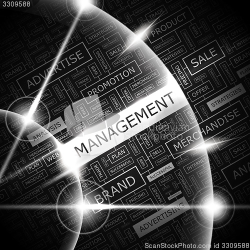 Image of MANAGEMENT