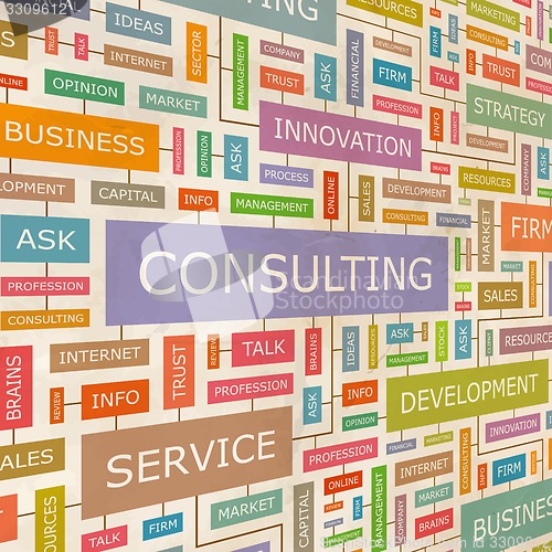 Image of CONSULTING