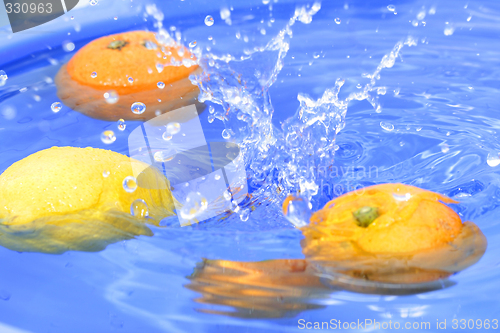 Image of Oranges and lemons