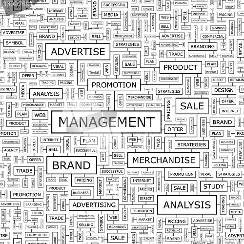Image of MANAGEMENT