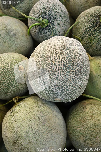 Image of Rock melon sale in market