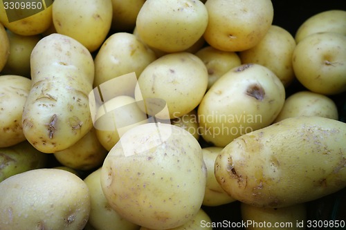 Image of Fresh organic young potatoes