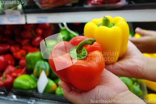 Image of Colorful bell peppers display at a farmers market
