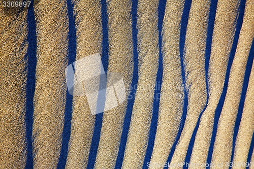 Image of lanz spain abstract  sand dry and lichens 