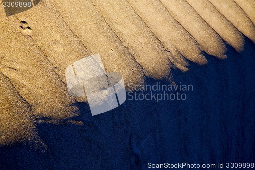 Image of in   spain texture abstract of a  dry sand and the beach 