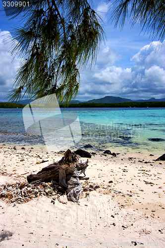 Image of indian ocean   in mauritius