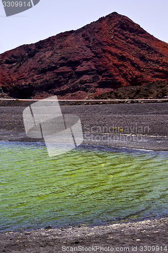 Image of plant stone    ocean sky  water   spain musk pond rock  coastlin