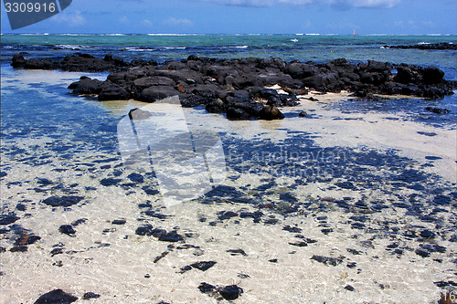 Image of boat foam footstep   of deus cocos   mauritius