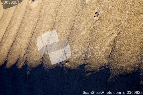 Image of in lanzarote  spain texture abstract of the beach 