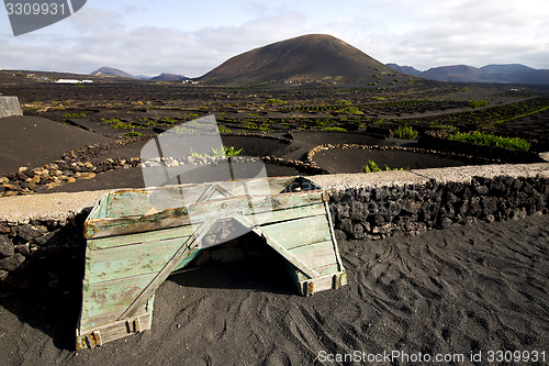 Image of crops viticulture  winery lanzarote spain la geria  