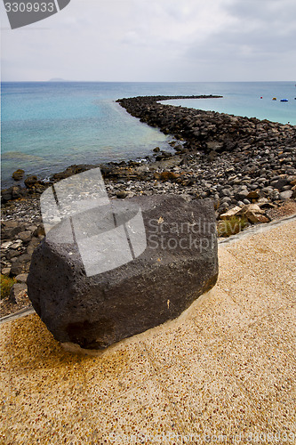 Image of pavment  in spain musk pond   summer 