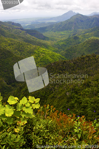 Image of black river mountain  in mauritius 