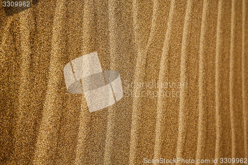 Image of in lanzarote  spain   of a  dry sand and the beach 
