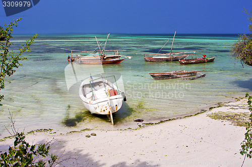 Image of bush africa coastline boat   lagoon relax   zanzibar 