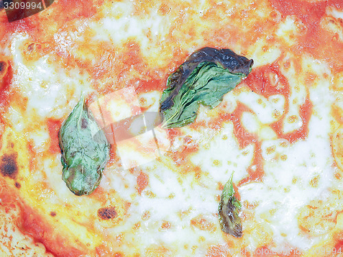 Image of Margherita pizza background