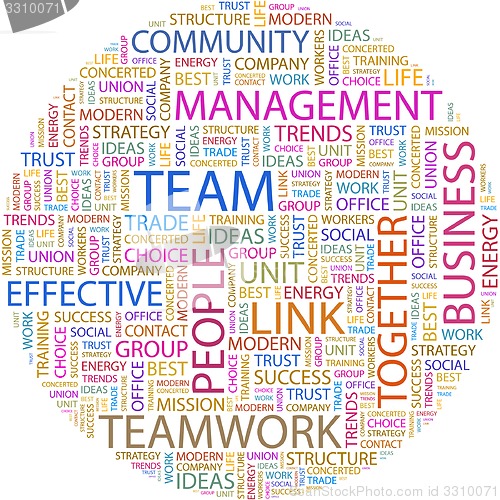 Image of TEAM