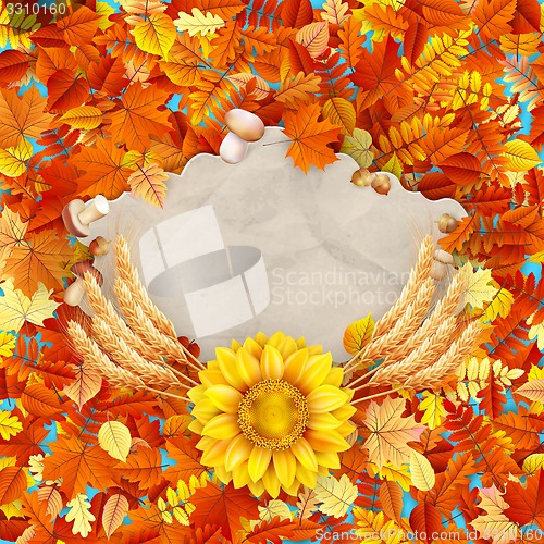 Image of Colorful leaves background. EPS 10