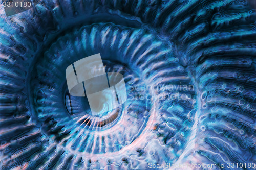 Image of abstract blue spiral