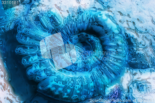 Image of abstract blue spiral