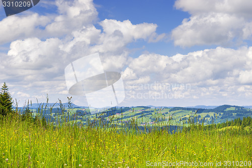 Image of Meadow to Allgaeu