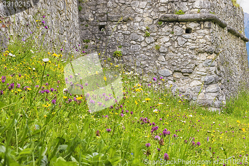 Image of Meadow with castle