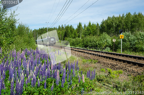 Image of Train at railway with flowers besides the tracks