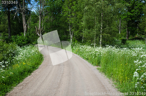 Image of Country road in a summer landscape