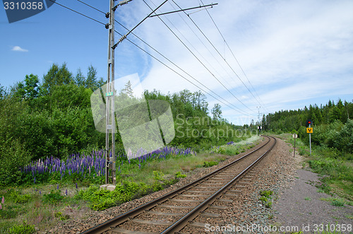 Image of Railway in a summer landscape