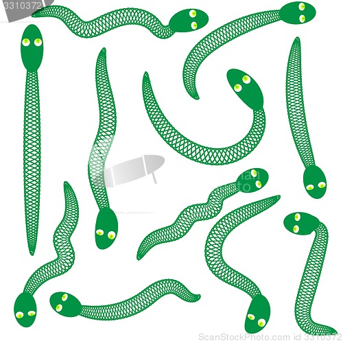 Image of Green Snakes