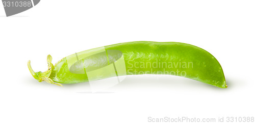 Image of Single fresh green peas sugar in the pod