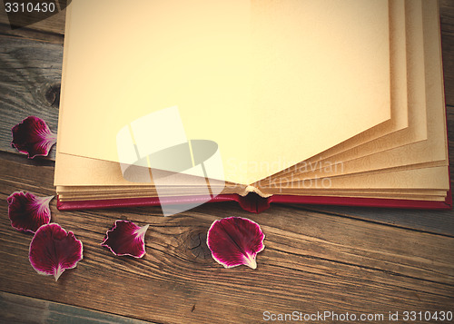 Image of open book with geranium petals