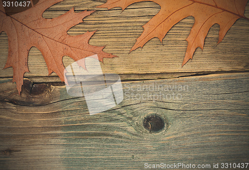 Image of dried leaves on surface of old boards