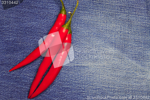 Image of chili pepper on jeans background