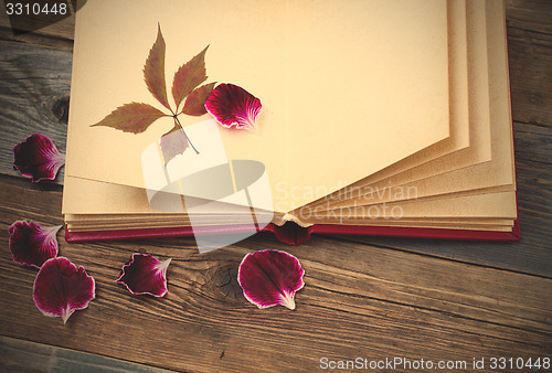 Image of open book with herbarium leaves