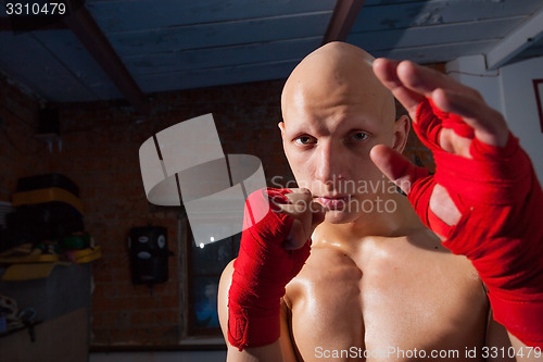 Image of Portrait of a boxer with fists in red bandages