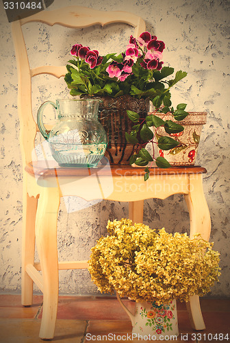 Image of pelargonium, fuchsia and hydrangea